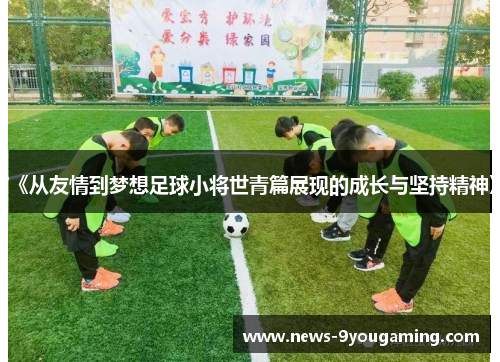 《从友情到梦想足球小将世青篇展现的成长与坚持精神》
