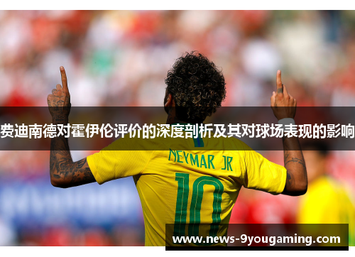 费迪南德对霍伊伦评价的深度剖析及其对球场表现的影响